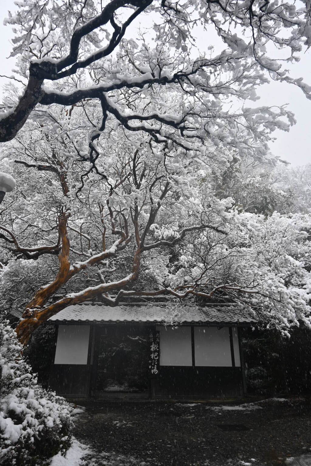 雪の松本