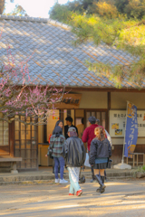 名古屋城