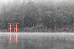 早朝、気嵐と鳥居