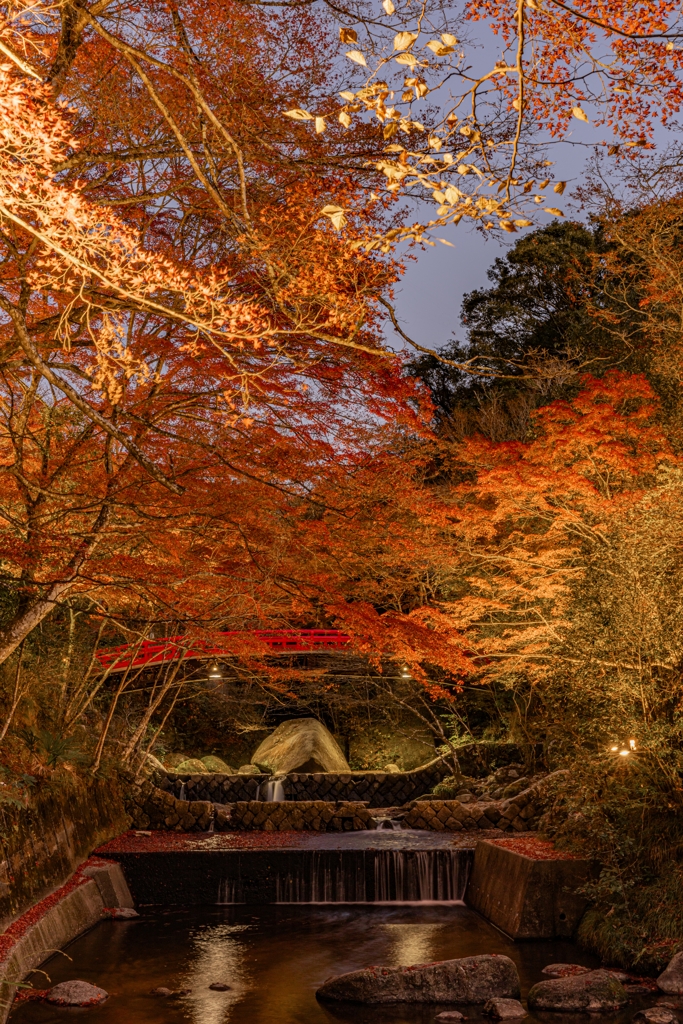 岩屋堂公園の紅葉
