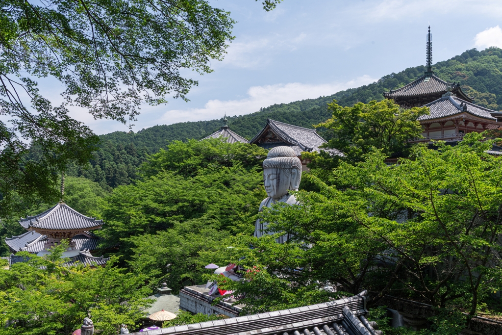 壷阪寺