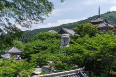 壷阪寺