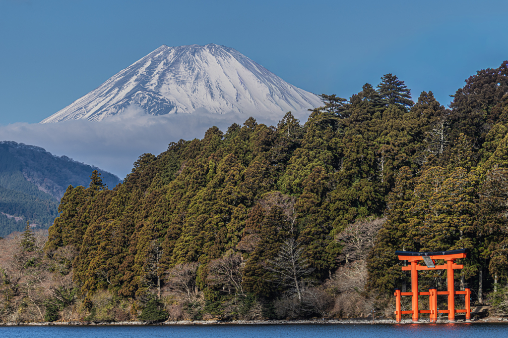 富士山と鳥居