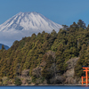 富士山と鳥居