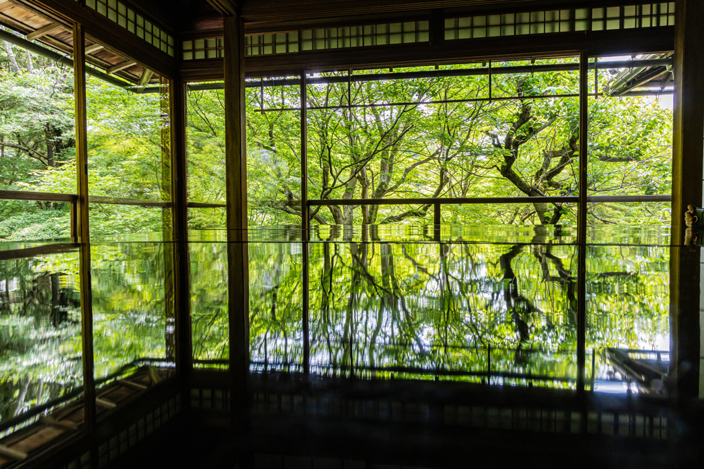 瑠璃光院