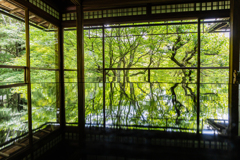 瑠璃光院