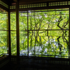 瑠璃光院