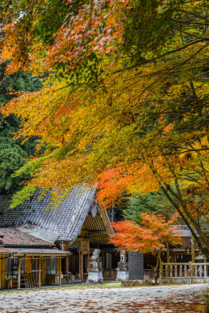 風神神社の紅葉