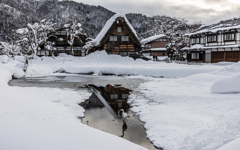 合掌造りリフレクションとサギ