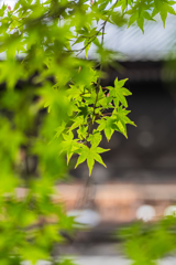 南禅寺　三門