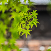 南禅寺　三門