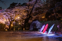 岡崎城公園さくら祭り