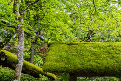 寂光院