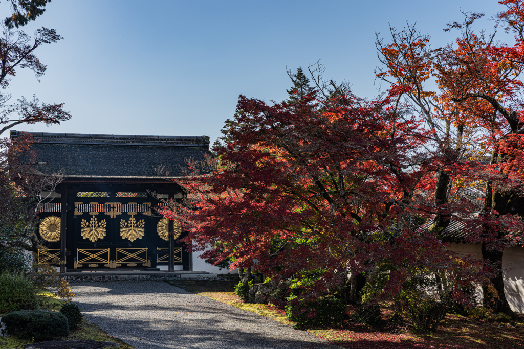 醍醐寺の秋-2