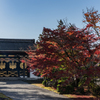 醍醐寺の秋-2