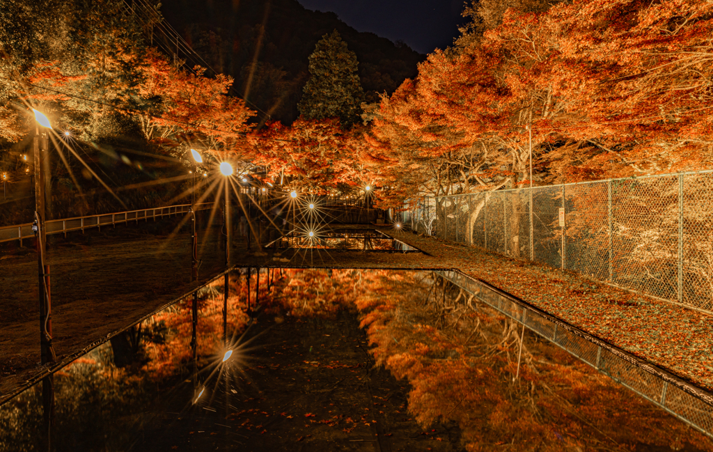 岩屋堂公園の紅葉