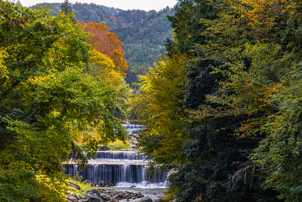 段々清流を覆う紅葉