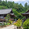 岡寺