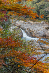 紅葉と水の流れ