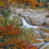 紅葉と水の流れ