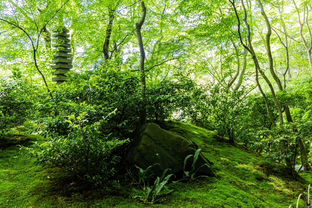 瑠璃光院