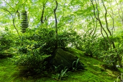 瑠璃光院