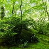 瑠璃光院