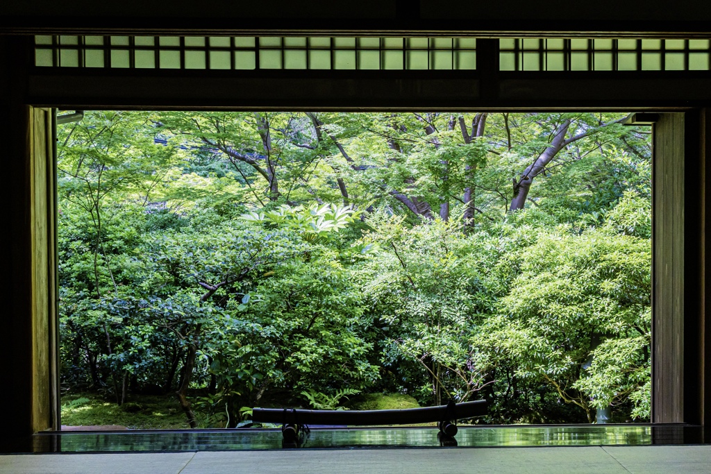 瑠璃光院