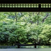 瑠璃光院