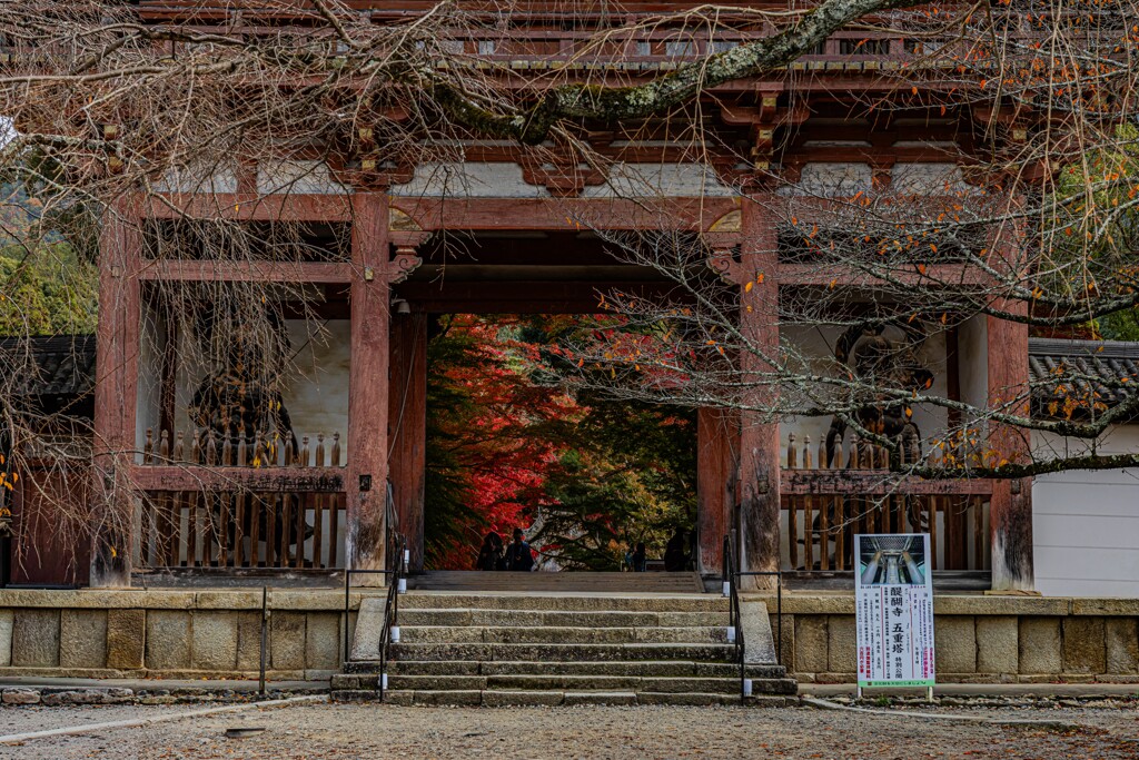 醍醐寺-7