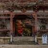 醍醐寺-7