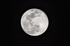 今年最後の満月