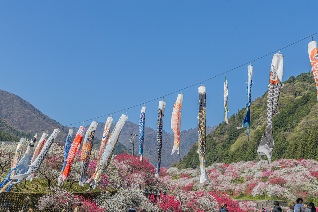 花桃の里