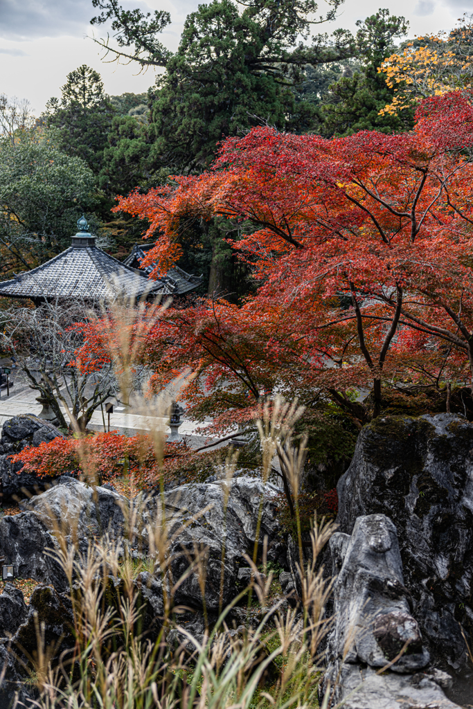 石山寺の秋4