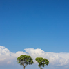 夏空