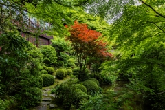寂光院