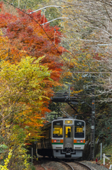 紅葉と電車