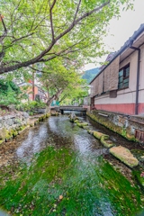 醒井宿　地蔵川