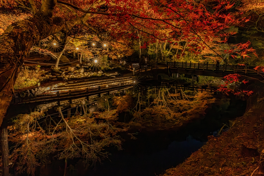 岩屋堂公園もみじまつり