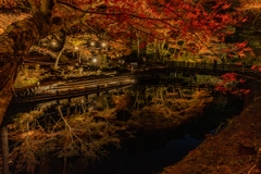 岩屋堂公園もみじまつり