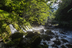 円原川の光芒