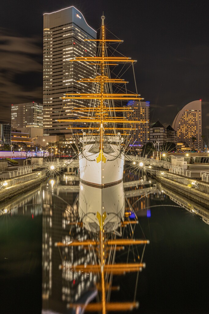 水面から羽ばたく