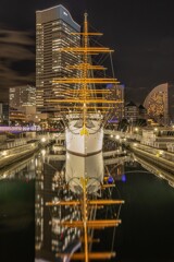 水面から羽ばたく