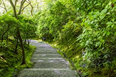瑠璃光院