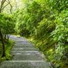 瑠璃光院