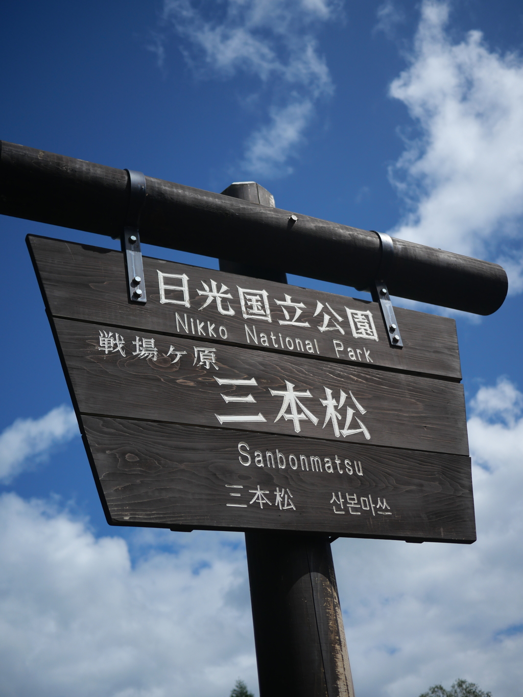 いい天気でした