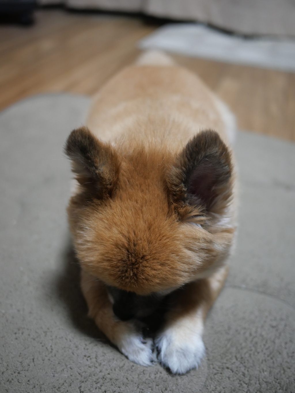 週末はどこ行こうかね？