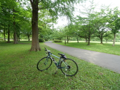 舎人公園