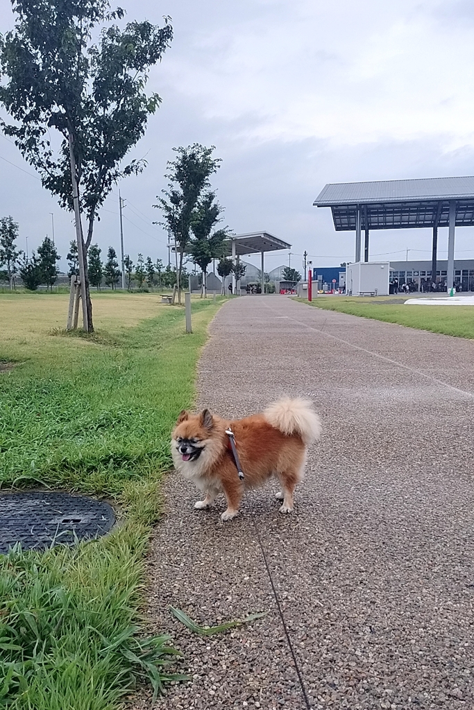 道の駅　まえばし赤城で休憩