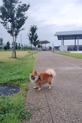 道の駅　まえばし赤城で休憩
